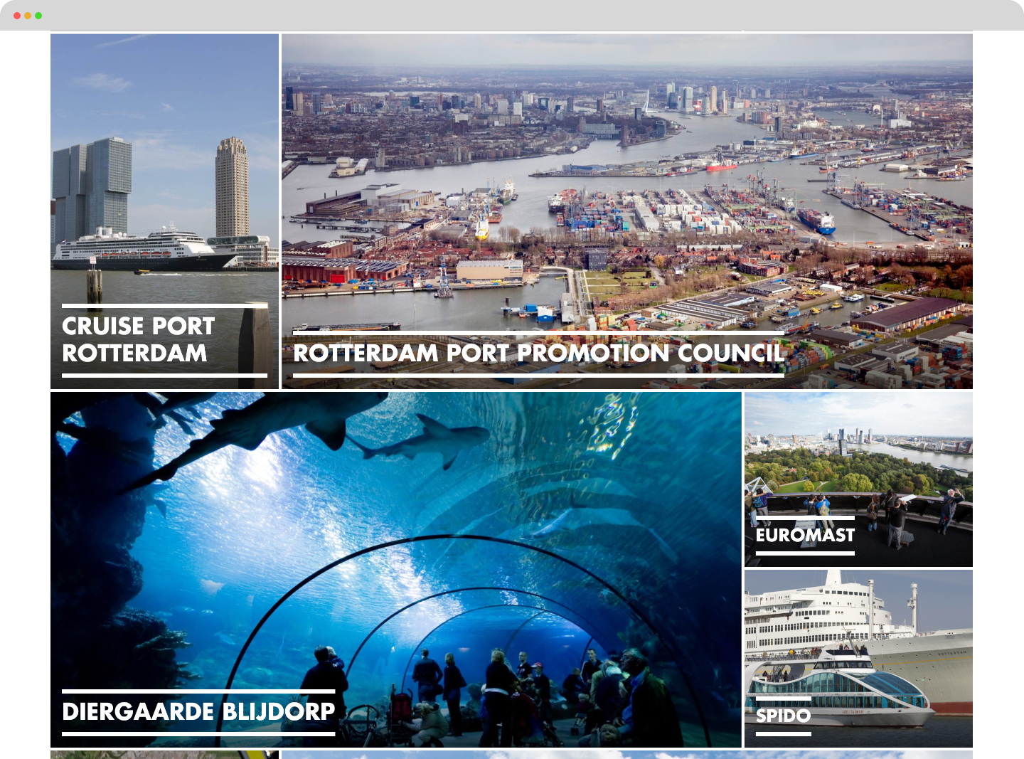 merkpartners rotterdammakeithappen